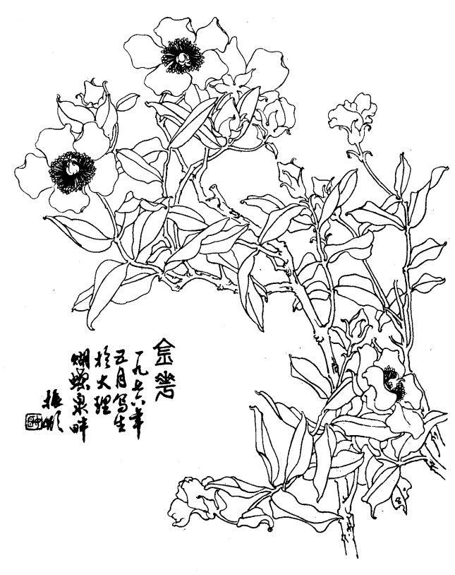 如何发现身边的美 发现身边的美