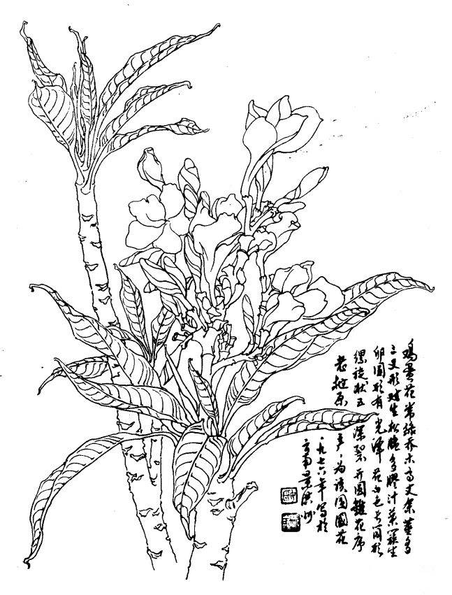如何发现身边的美 发现身边的美