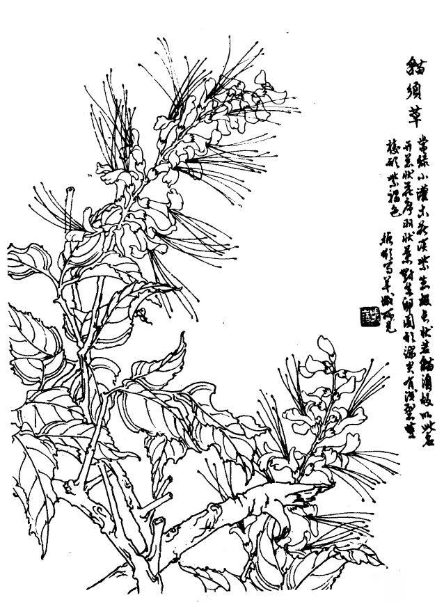 如何发现身边的美 发现身边的美