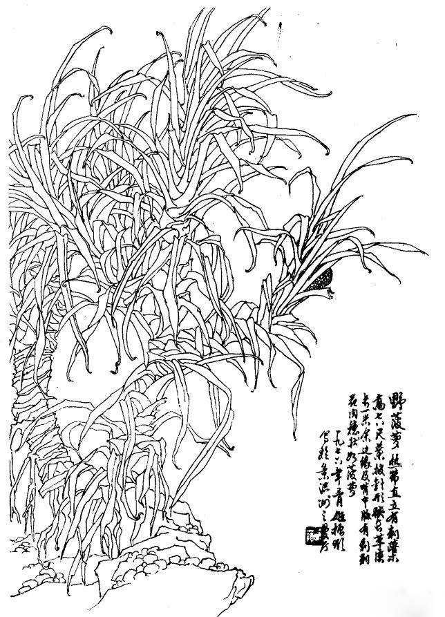 如何发现身边的美 发现身边的美