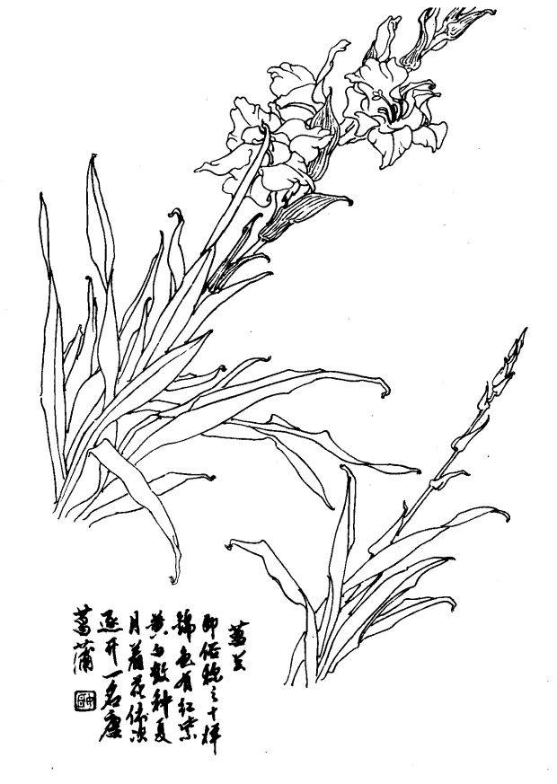 如何发现身边的美 发现身边的美