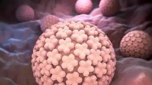 HPV或成歷史 上萬名HPV患者受益