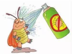 臭虫咬的包是什么样子？家庭除臭虫最简单的方法是什么？