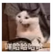 汽油机与柴油机有何区别？ 汽油机和柴油机的区别