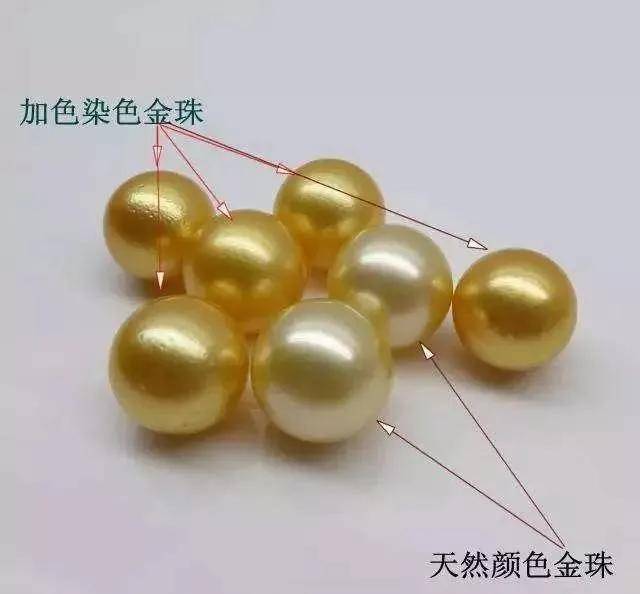 小学数学趣味故事:巧辩金珠 小学数学教学故事