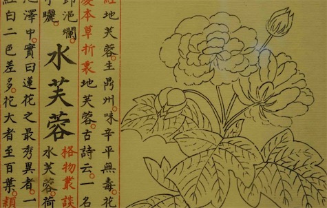 《永乐大典》上起先秦下达明初 世界最大最早的百科全书