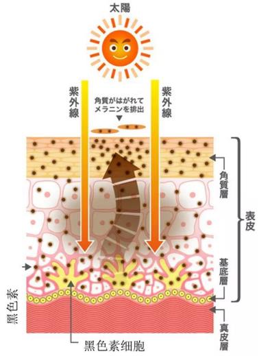 北京伊美爾紫竹醫院：光子嫩膚多久做一次