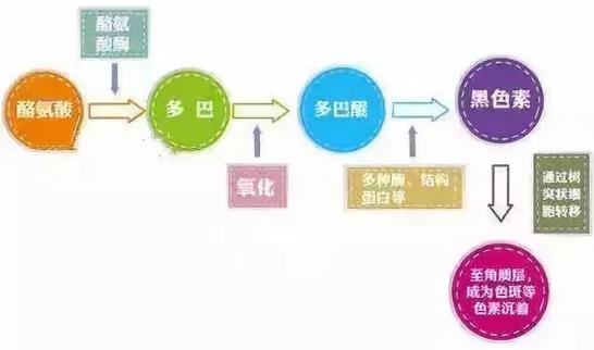 北京伊美爾紫竹醫院：光子嫩膚多久做一次