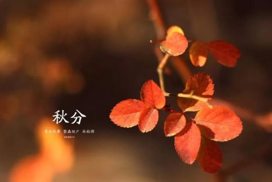 2021年秋分当天能结婚办酒席吗?2021年的秋分后有冷空气吗?