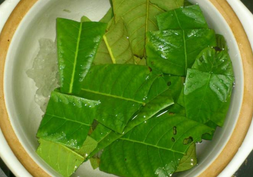 枇杷叶煮水能放蜂蜜吗 什么时候放