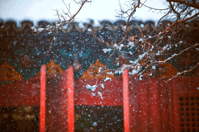 十首写雪的著名诗词 赞美雪的诗句