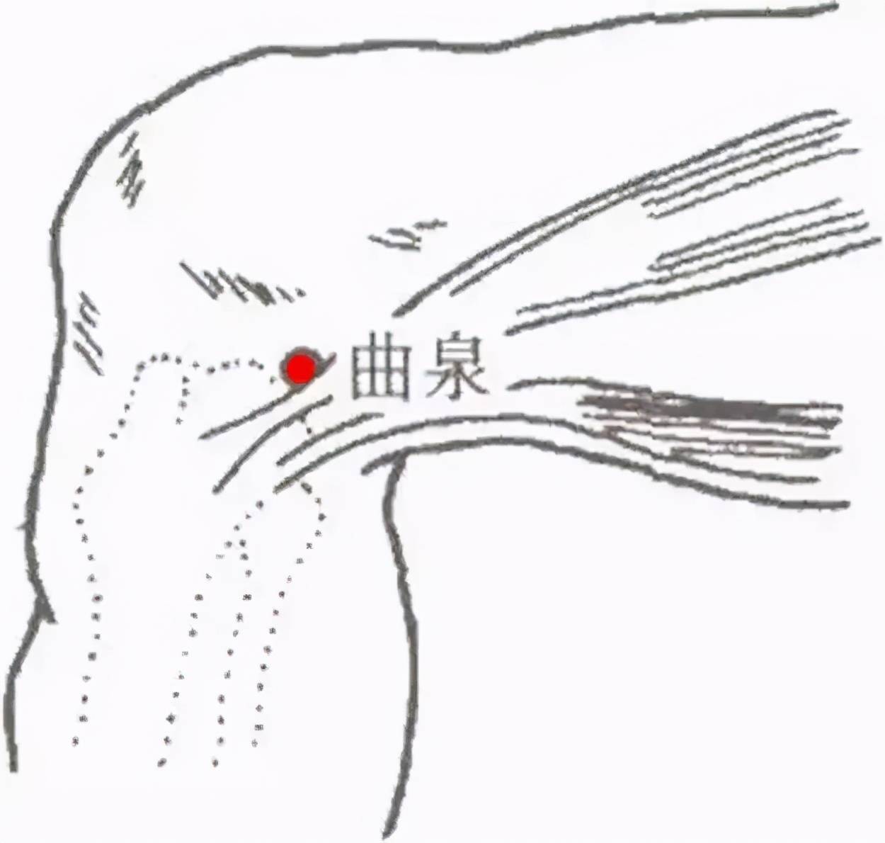 膝盖疼痛 试试这两个方法 膝盖疼痛