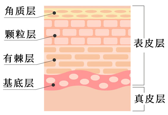 應(yīng)該如何恰當(dāng)?shù)娜ソ琴|(zhì)？ 去角質(zhì)的正確方法