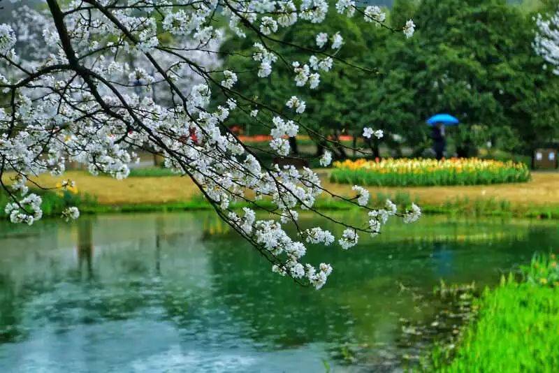 去杭州玩一天怎么安排 杭州有哪些旅游景点