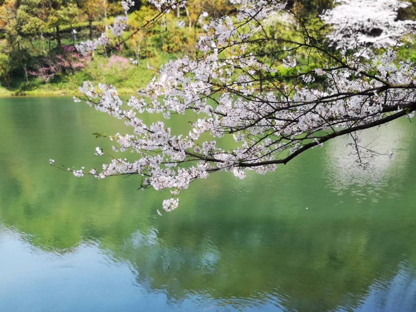 去杭州玩一天怎么安排 杭州有哪些旅游景点