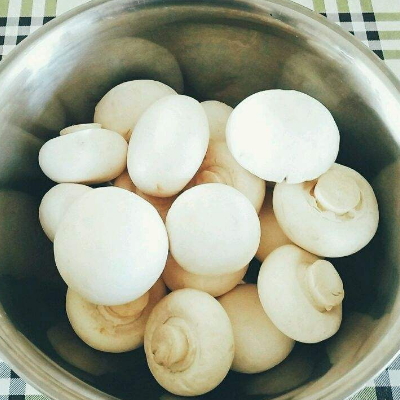 口蘑怎么种植 和双孢菇的区别