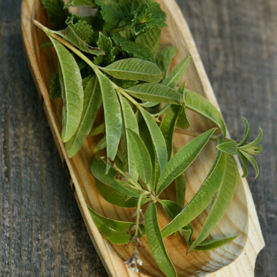 中秋节可以送咸鸭蛋吗 可以送茶叶吗