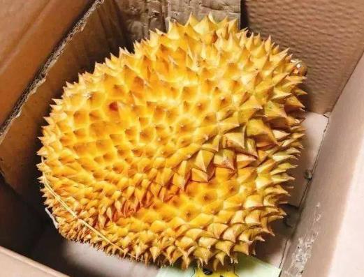 经期吃榴莲能排毒排污血是真的吗？有青草味道的榴莲能吃吗