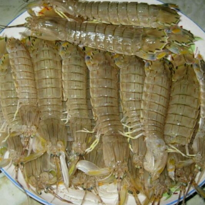 皮皮虾什么时候最肥 可以和梨一起吃吗