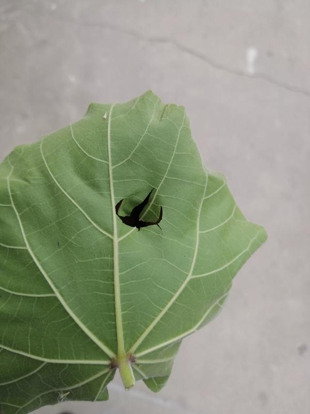 儿时农村给你印象最深刻的玩具是什么?