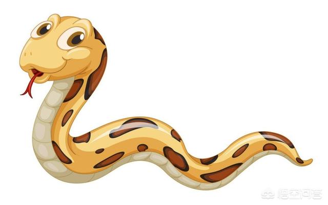 为什么在农村,家里进蛇了不但不赶走,反而还很开心?