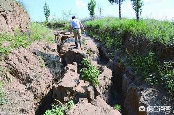 库布其、毛乌素沙漠都消灭了，塔克拉玛干沙漠也能消灭吗？