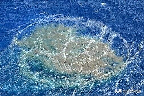 能快速把附近海域加热到100°,海底火山爆发到底有多危险?
