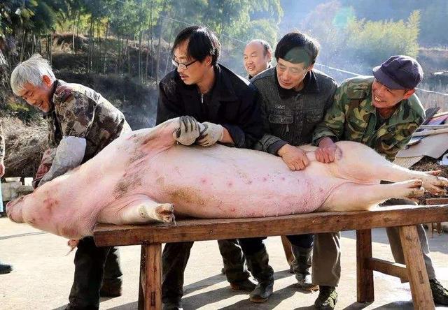 为什么感觉人看到动物的尸体不会太害怕，但是看到同类的尸体会非常害怕？