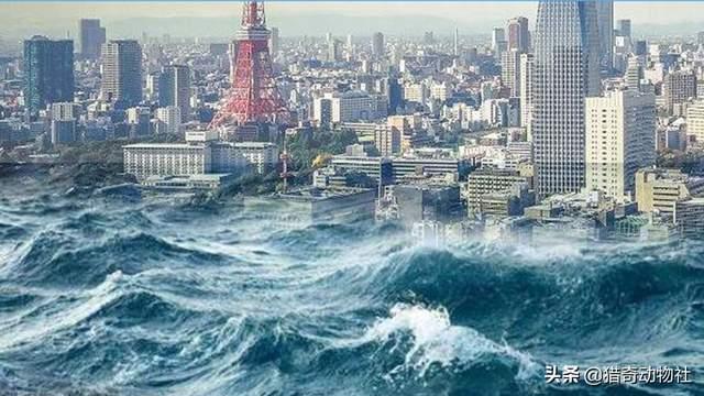 全球冰川正在加速融化，将淹没哪些城市？远古病毒会随之复苏吗？
