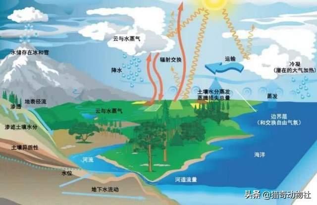 全球冰川正在加速融化，将淹没哪些城市？远古病毒会随之复苏吗？