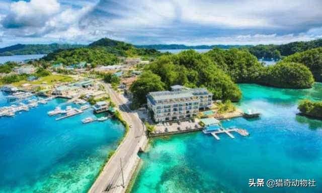 全球冰川正在加速融化，将淹没哪些城市？远古病毒会随之复苏吗？