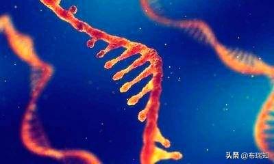 新冠病毒在冷鲜肉中可存活多久？