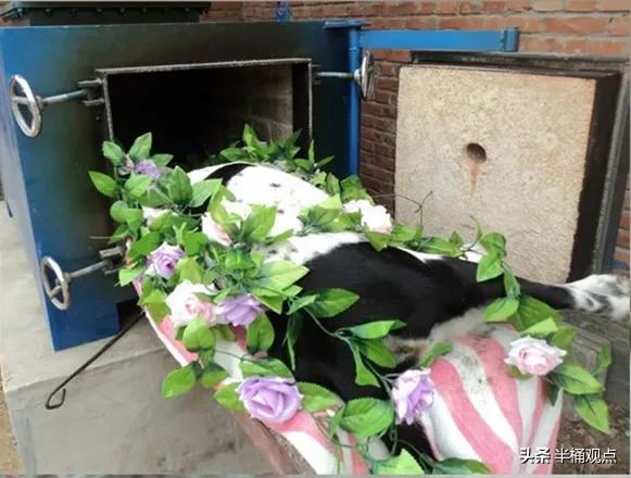 人死后，会清理遗体内的大便吗，还是让大便留在体内，直接埋葬？