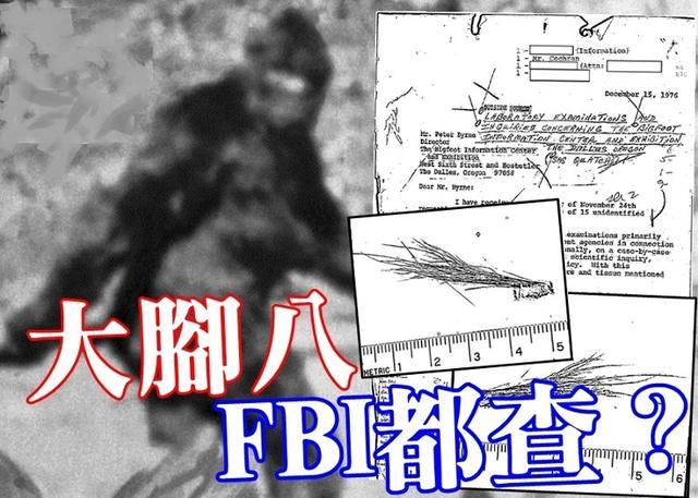 FBI曾调查过传说中的“大脚怪”,最后得出了怎样的结论?