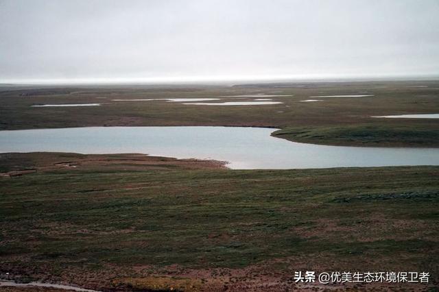 長江每年多少泥沙入海?如上海的崇明島，每年面積還在變大嗎？