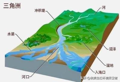 長江每年多少泥沙入海?如上海的崇明島，每年面積還在變大嗎？