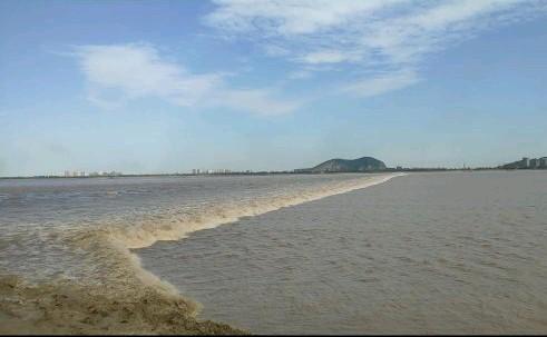 杭州湾为什么没有像长江出海口一样淤土成陆？