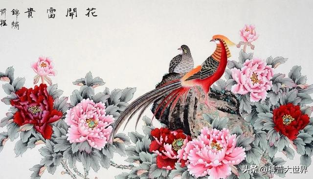 红腹锦鸡非常漂亮,是国家保护动物吗?主要存在于哪里?