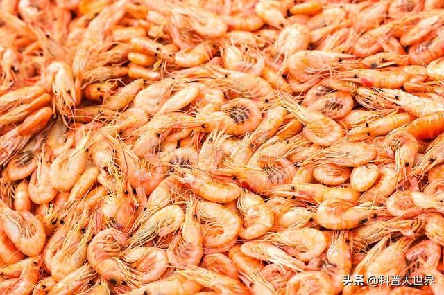 哪种人适合吃磷虾油?磷虾油有什么功效?