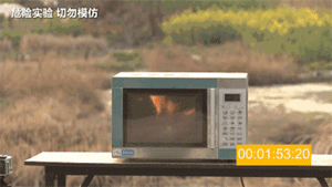 哪些食物不能放入微波炉?