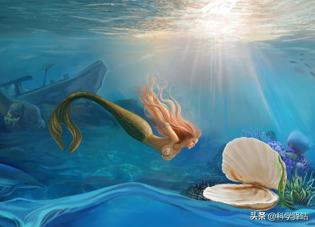 如果没有月球，地球会是怎样的存在？