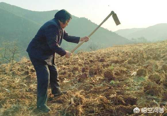 以前的老农常说“杈头有火，锄头有水”，是什么意思？