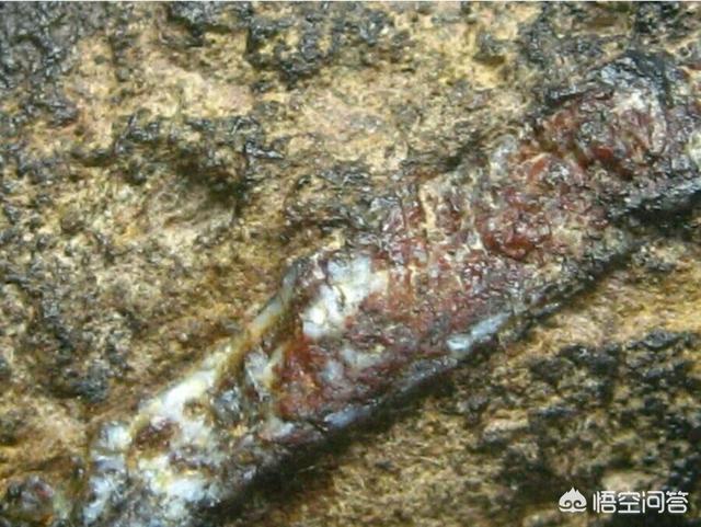 火星上的陨石是怎样落到地球上的?