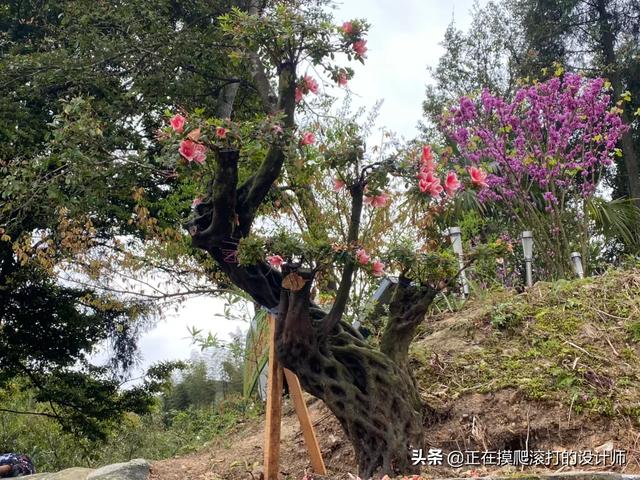 我是一个初中生,想从微积分开始自学高等数学和相对论,现实吗?