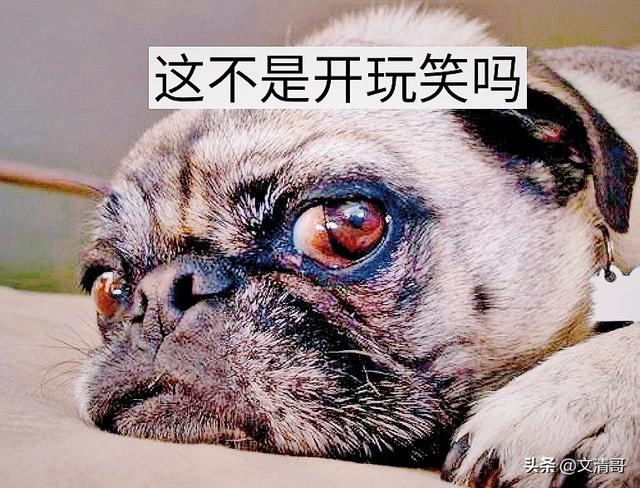 如果一个人的身体强度足够支撑他进行光速移动，那么他以光速打出一拳可以打爆地球吗？