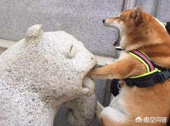 如果在地球五千光年外观望地球,会看到人类古代时吗?
