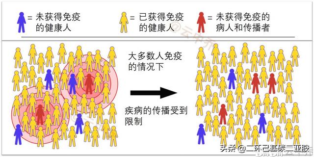 群体免疫是否错了,如果西方国家产生了群体免疫,中国该怎么办?