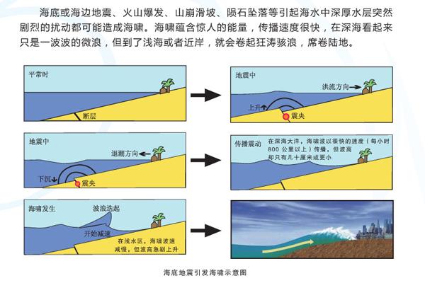 海底地震是怎么引发海啸的?为什么海浪会那么高?