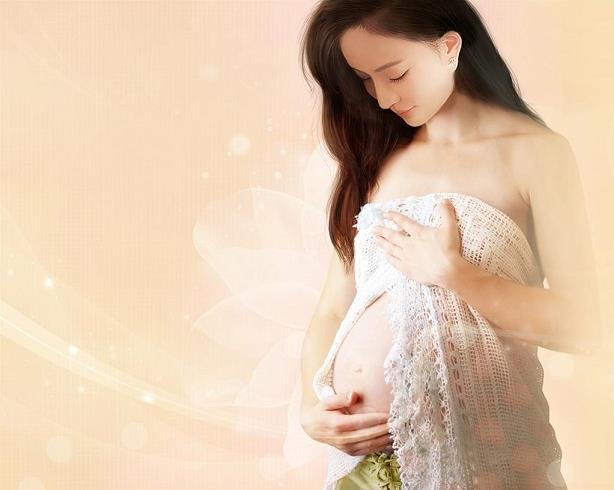 上海供卵：想生不能生，找供卵成为找人代生孩子行业网红
