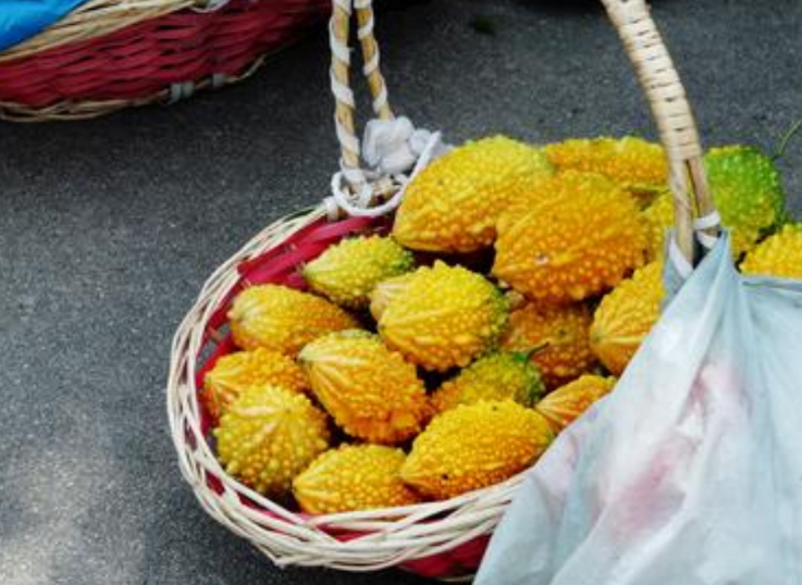 金鈴子是植物還是動物 功效與作用有哪些